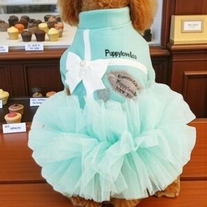 SALE | Puppy Love & Co. Tiffany Blue Princess Tutu Dress or Coat
